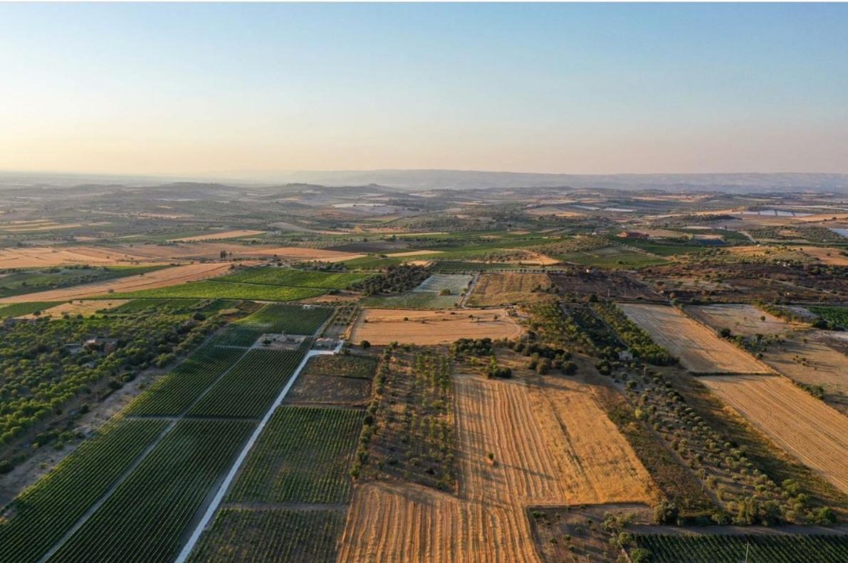 Вілла Cozzo Del Parroco - Ospitalita Tra I Vigneti Гранеллі Екстер'єр фото